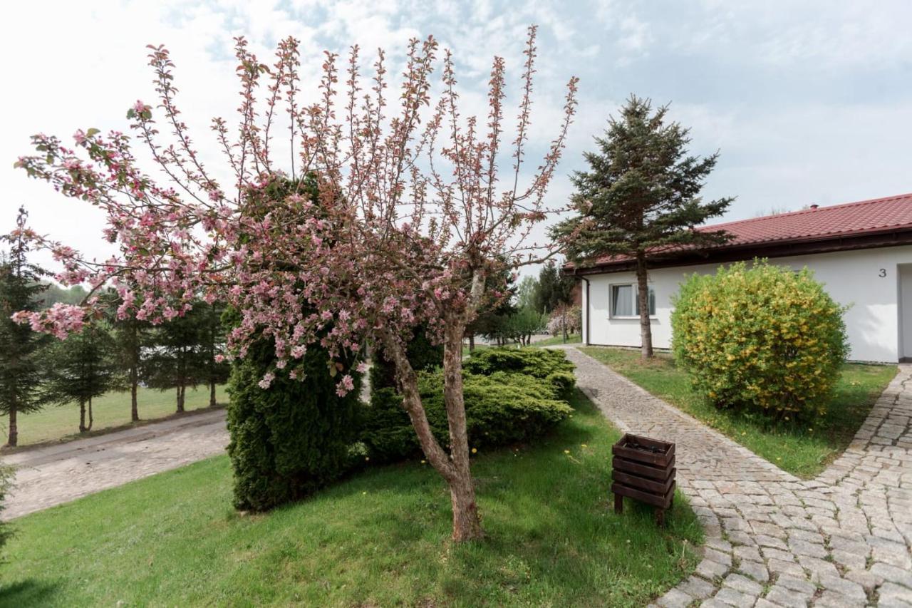Petrico Camp Resort Krzywoploty  Exterior photo